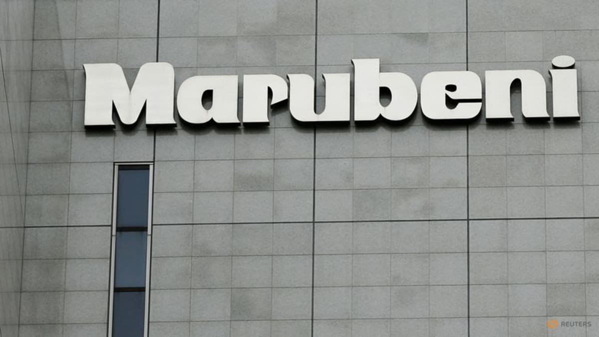 Marubeni boosts investment, shareholder returns after strong earnings