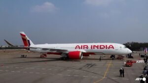 Airbus joins probe into Air India flight plunge