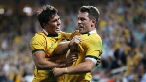 Waratahs go back to the future with Foley, Phipps signings