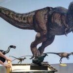 Why were there no tiny dinosaurs? You might blame the mammals
