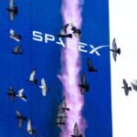 SpaceX stock climbs as shares available for trading more than double