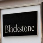 Exclusive-Hackers targeted US private equity, other firms including Blackstone, CME, data shows