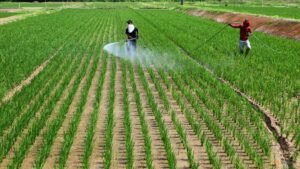 Japan food self-sufficiency ratio falls to 37%, below 2030 goal of 45%
