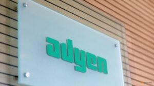 Adyen raises revenue forecast on acquisition boost, shares soar