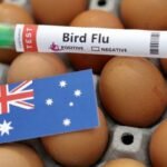 Australia confirms first H5N1 bird flu case in local mammal
