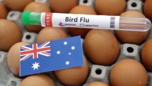 Australia confirms first H5N1 bird flu case in local mammal