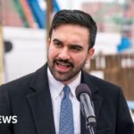 ‘Reasonable’ or a ‘hit list’ – New Yorkers react to rollout of Mamdani’s tax on second homes