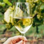 Ireland’s small but determined wine industry warming up