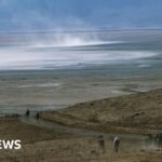 Ngorongoro: Tanzanian police arrest rangers over death in conservation area