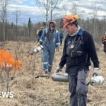 The Canadians taking fighting wildfires into their own hands