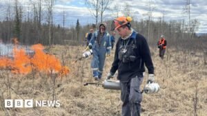 The Canadians taking fighting wildfires into their own hands