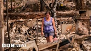 Scale of devastation shocks US city’s fire-seasoned residents