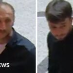 Thieves steal 600-diamond necklace from Vienna museum in broad daylight