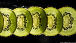 Subtropical fruits in Germany? Farmers adapting to drought