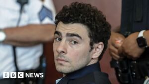 What happens if Luigi Mangione pleads guilty in federal court?