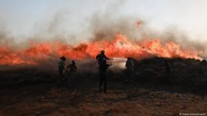 Wildfires in Greece: Cretan village counts its losses
