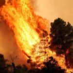 How Europe can better protect against extreme wildfires