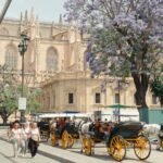 Tourist hotspot: is Seville all that?