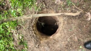 Latvia discovers new tunnel at border with Belarus