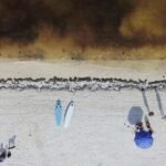 Algae bloom off Mexico’s coast scares away tourists