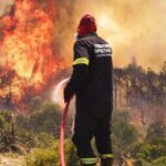 Can Germany teach Europe how to prevent wildfires?