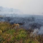 Belgium battles record wildfire at Germany