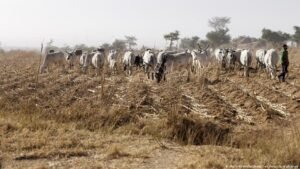 Nigeria: Dozens killed in Plateau state attack