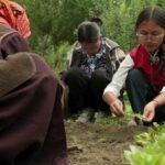 India: Why Ladakh’s ghost villages could have a future again