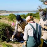 Australia confirms H5N1 bird flu case in local mammal