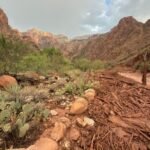 US: Deadly flash flood hits Grand Canyon