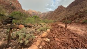 US: Deadly flash flood hits Grand Canyon