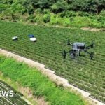 Drone warnings, sheltering in airports: South Korea battles historic heatwave