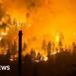 ‘That fire came so fast’: Wildfire rages in British Columbia