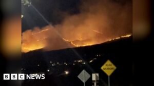 Nevada wildfire: Wildfire seen near Reno as tens of thousands told to evacuate