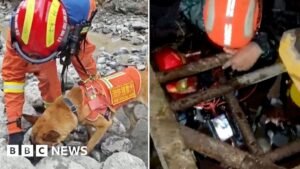 Rescue efforts continue on both sides of Nepal-Tibet border