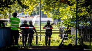 Swiss man arrested over deadly rave shooting: Police
