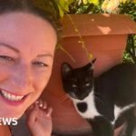 Shropshire woman adopted stray cats she fell in love with on holiday