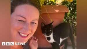 Shropshire woman adopted stray cats she fell in love with on holiday