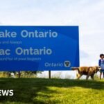 Canada installs large Lake Ontario sign in latest jab at US