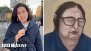 Australia mushroom murder: ‘Catastrophic’ hotel mix-up at the heart of appeal