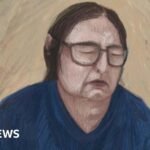 Erin Patterson appeal: Mushroom killer must stay in jail forever for ‘truly dreadful’ crime, prosecutors say