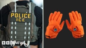 Watch: Why are ICE agents getting controversial shock gloves?