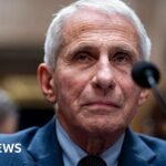 US Senate committee votes to hold Fauci in contempt over Covid hearing