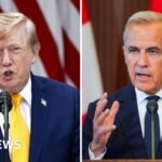 How Canada could hit back to hurt the US economy – and Trump