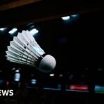 Badminton: Delhi battles monkeys and pigeons ahead of BWF World Championships
