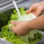 Michigan reports first two deaths linked to cyclospora outbreak