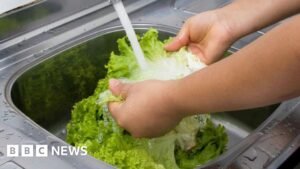 Michigan reports first two deaths linked to cyclospora outbreak