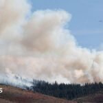 Reno wildfire: Tens of thousands told to evacuate as Hawk wildfire approaches Nevada – live updates