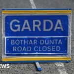 Teenage cyclist dies after hit-and-run collision at Nugentstown, Kells