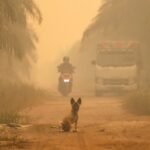 ‘Hazardous’ levels of air quality in parts of Indonesia’s Borneo